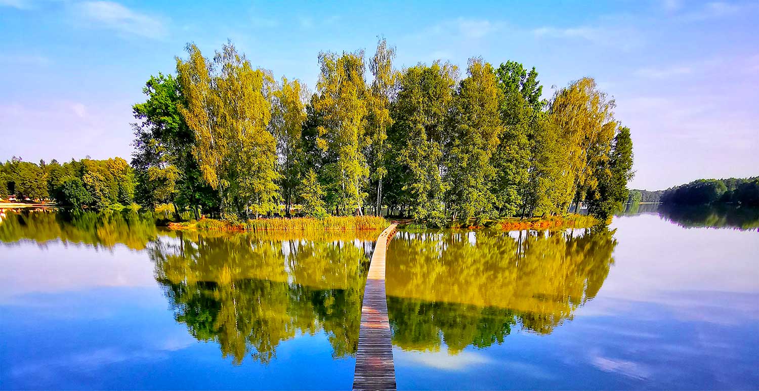 Rybník na Třeboňsku